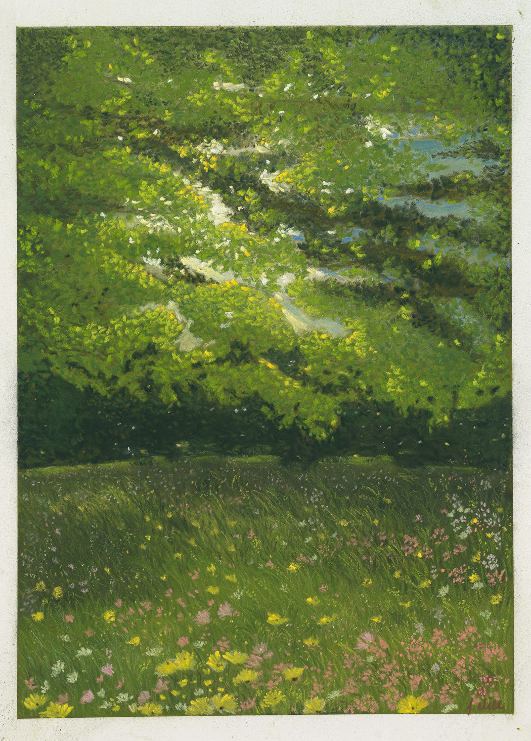 dappled - (Original)
