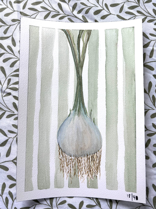 #18 - Fresh Garlic - Original